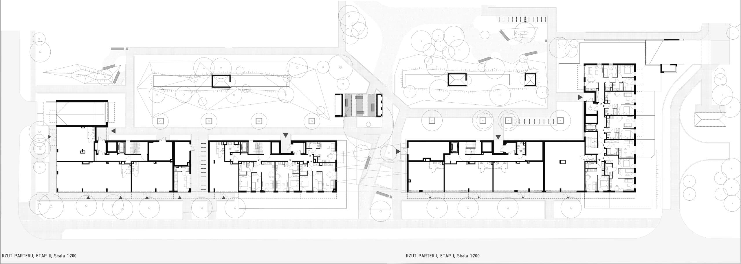 section image